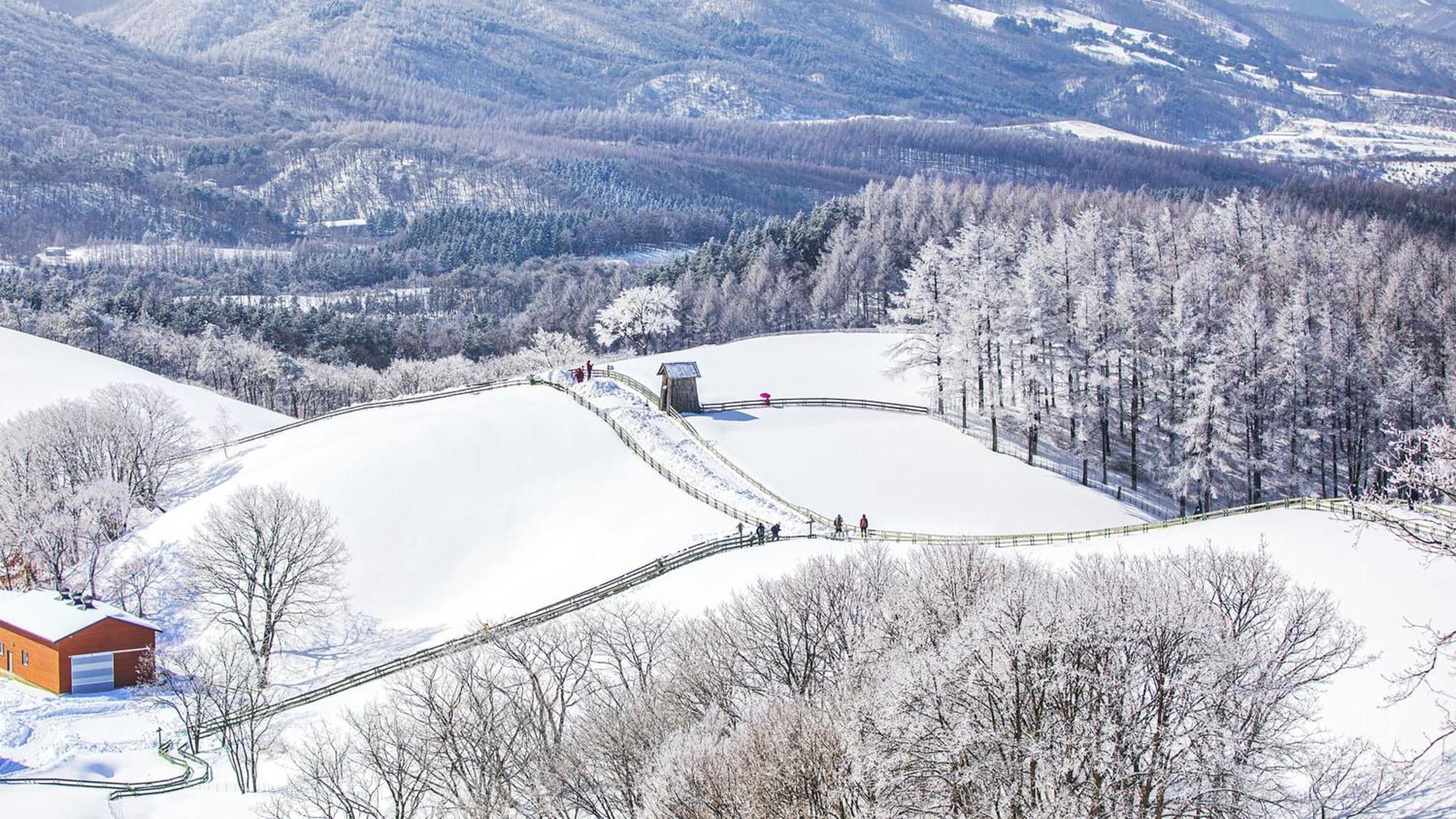 Holiday Inn Resort Alpensia Pyeongchang By Ihg Екстер'єр фото
